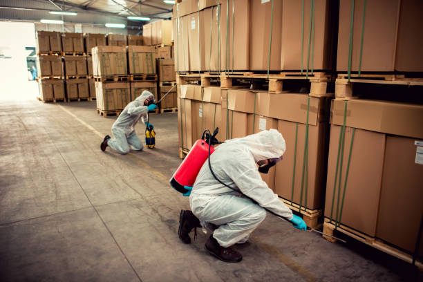 Best Wasp Removal Services  in Danvers, IL