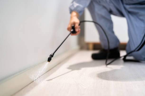 Best Pest Removal Services  in Danvers, IL