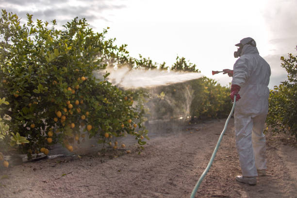 Best Pest Control for Homes  in Danvers, IL