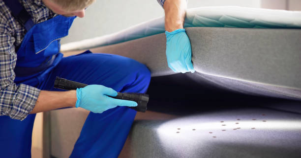Best Best Pest Control Companies  in Danvers, IL