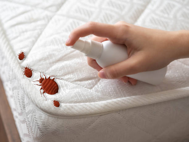 Pest Control for Restaurants in Danvers, IL