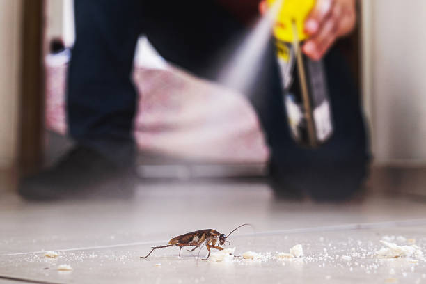Best Rodent Control Near Me  in Danvers, IL