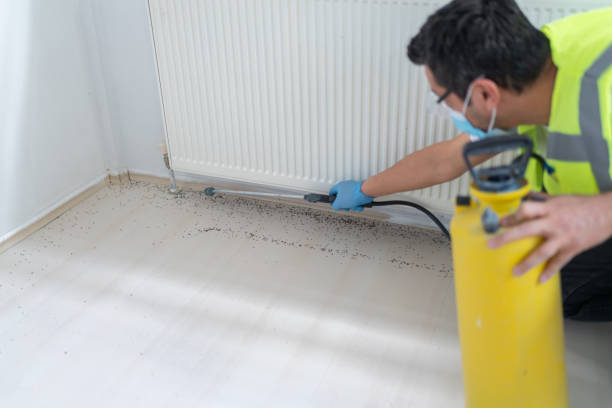 Best Commercial Pest Control Services  in Danvers, IL