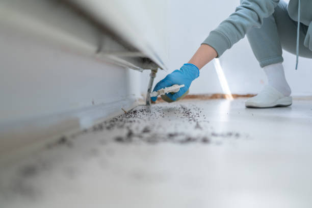 Best Pest Inspection Near Me  in Danvers, IL